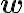 \mathbf{w}