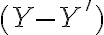 (Y-Y')