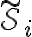 {\tilde{\mathcal{S}}}_{i}