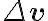 \Delta \mathbf{v}