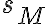 s_{M}
