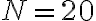 N=20