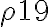 \rho 19