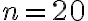 n = 20