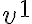 {v}^{1}