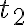 t_{2}