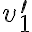 v_{1}^{\prime}