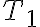  T_{1} 