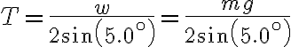 T=\frac{w}{2 \sin \left(5.0^{\circ}\right)}=\frac{m g}{2 \sin \left(5.0^{\circ}\right)}