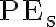  \mathrm{PE_s} 