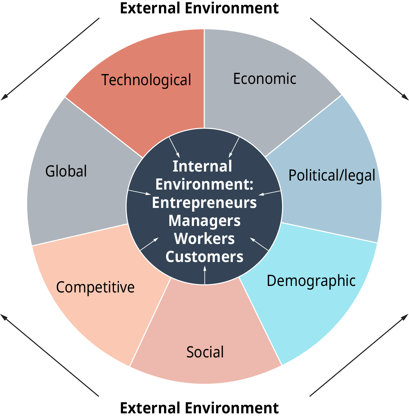 The Dynamic Business Environment