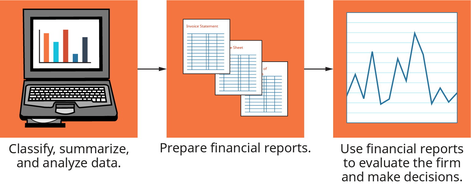 The Accounting System