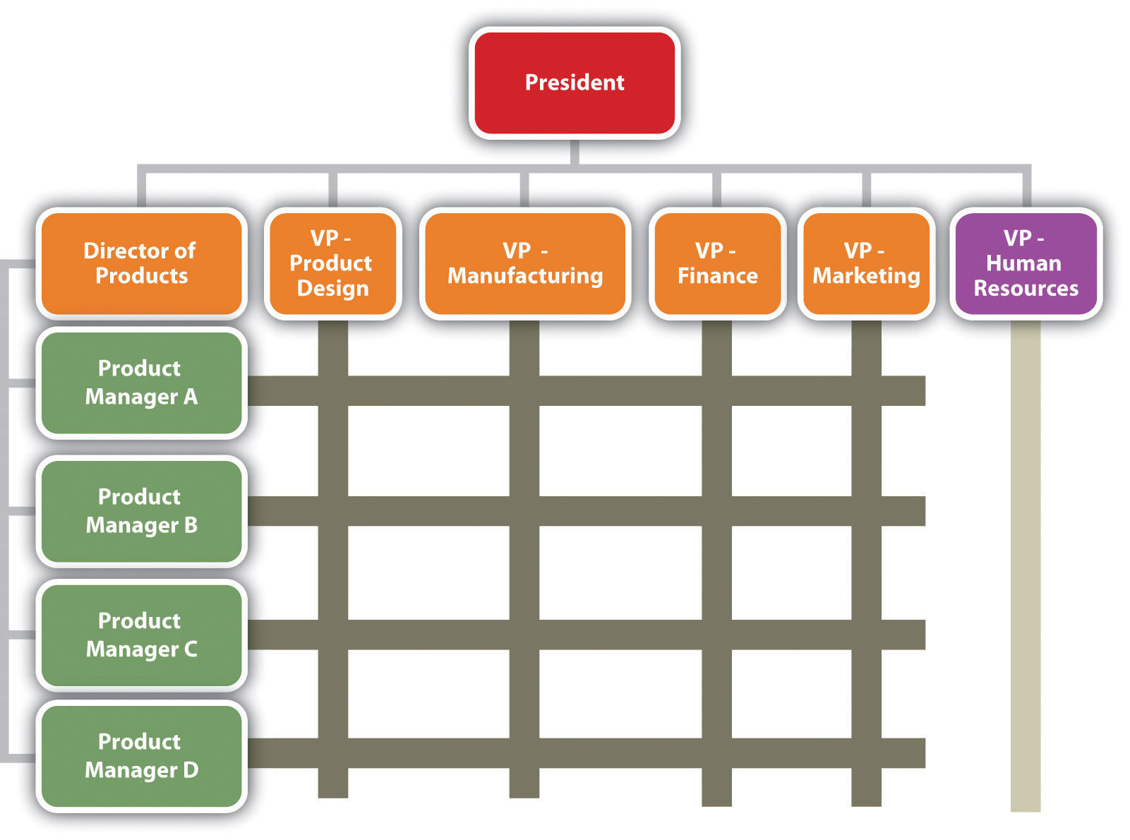 Organization Chart: Matrix Structure