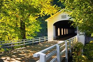 A white wooden covered bridge surrounded by bright green and yellow autumn foliage.