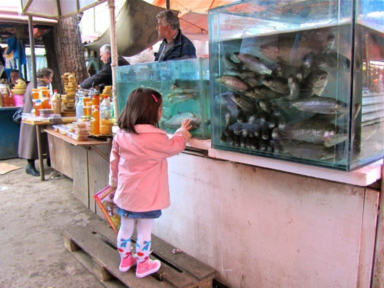 A young child touches a fish through glass at the market