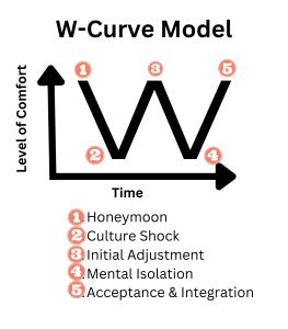 A graph of Level of Comfort over Time showing a W-curve across 5 stages from Honeymoon to Acceptance & Integration.