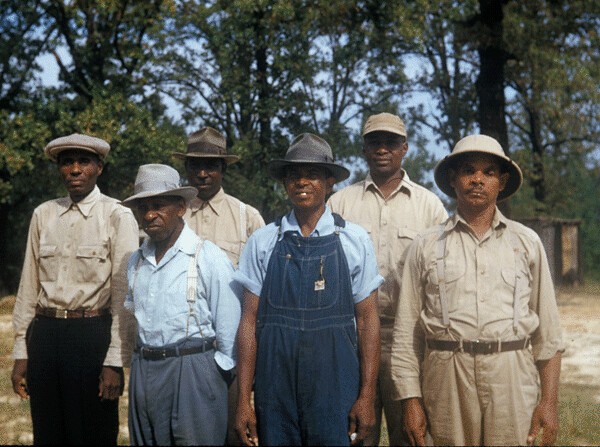 Participants in the Tuskegee Syphilis Project