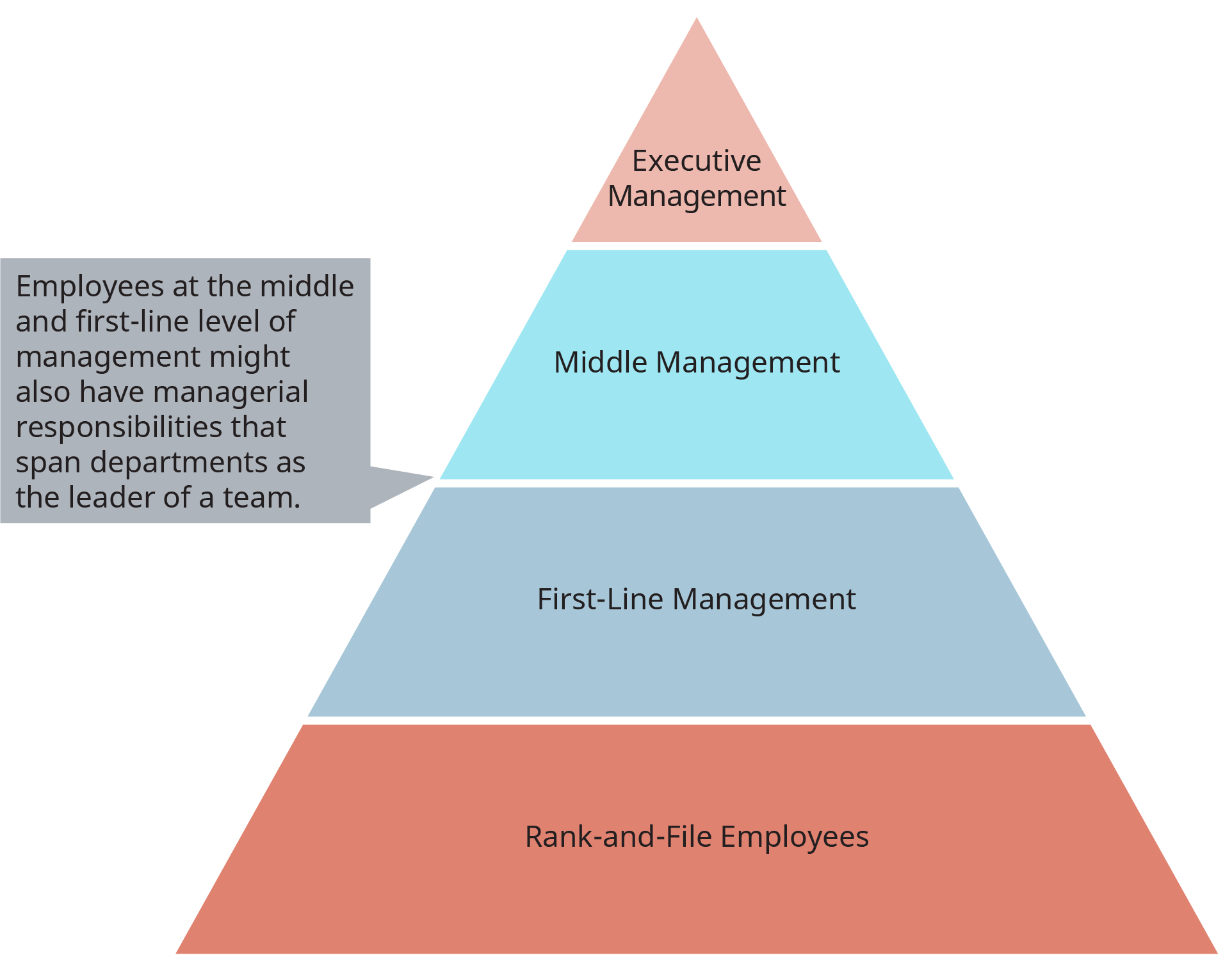  Exhibit 1.5 Levels in the Management Hierarchy 