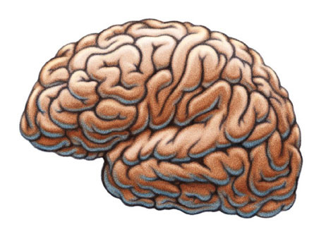 Isaac Mao – Brain 