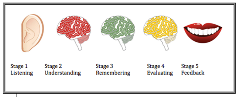 A diagram showing five stages of listening: an ear for listening, a red brain for understanding, a green brain for remembering, a yellow brain for evaluating, and lips for feedback.