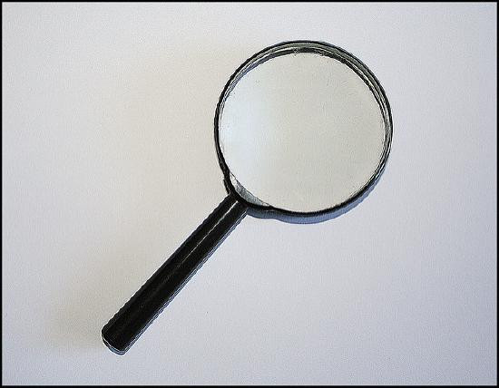 magnifier 