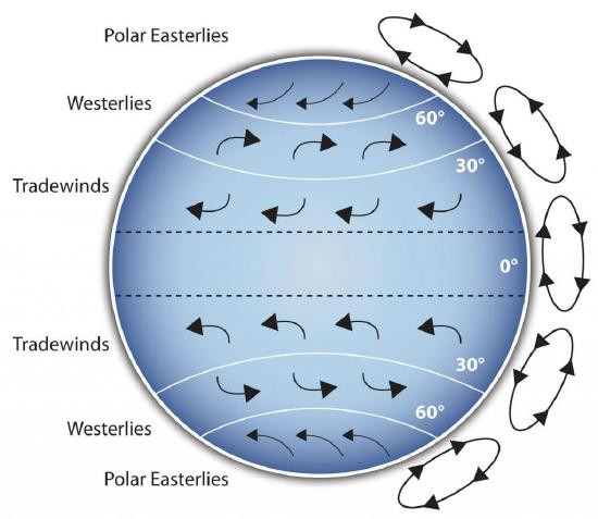 Diagram of Earth's global wind patterns showing the polar easterlies, westerlies, and trade winds.