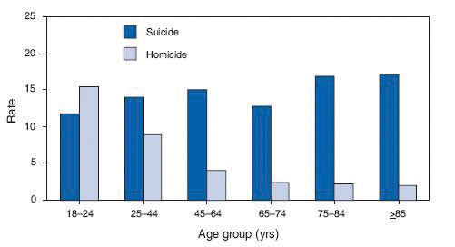 Bar chart comparing rates of suicide and homicide across six different age groups.