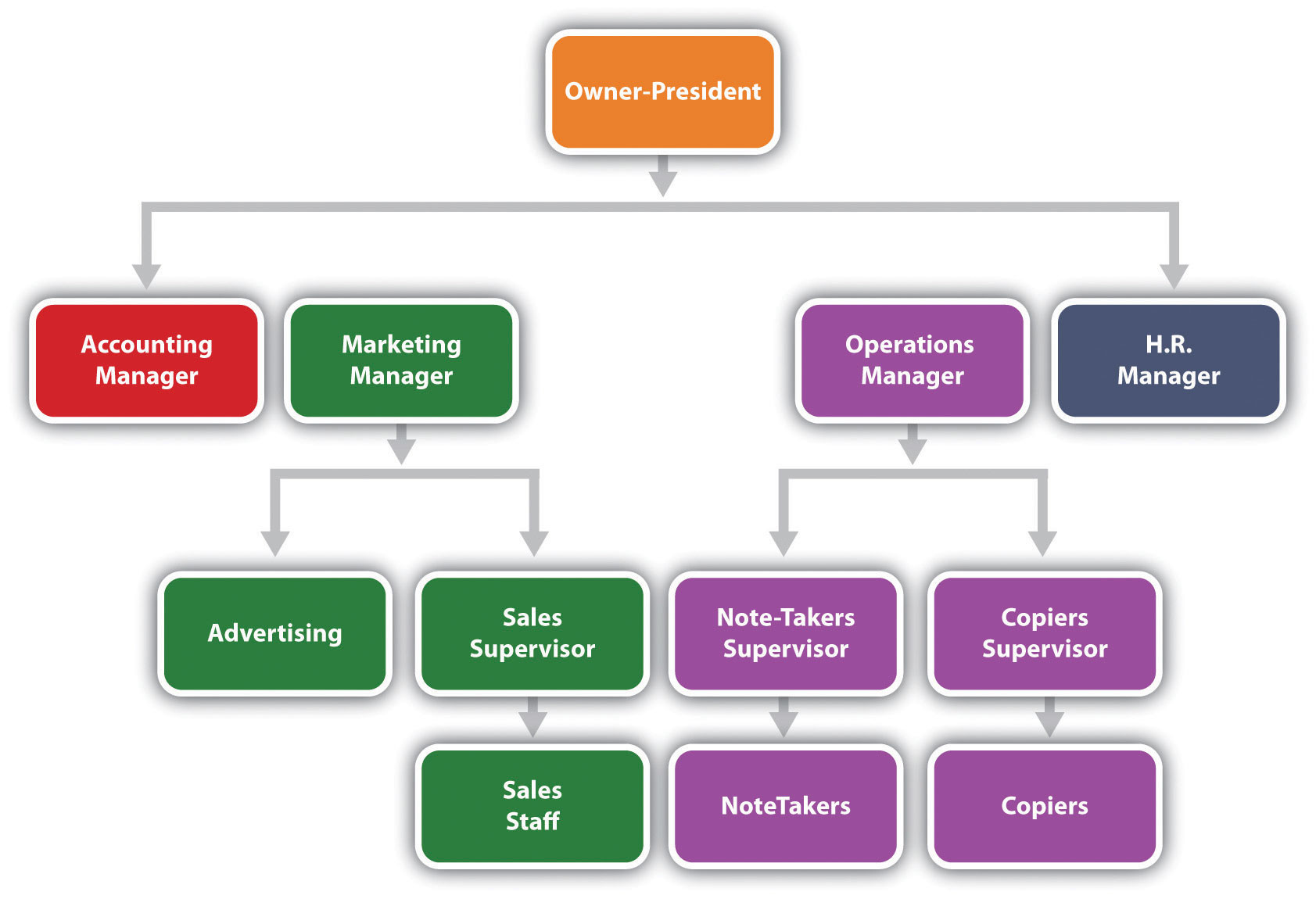  Organization Chart for Notes-4-You